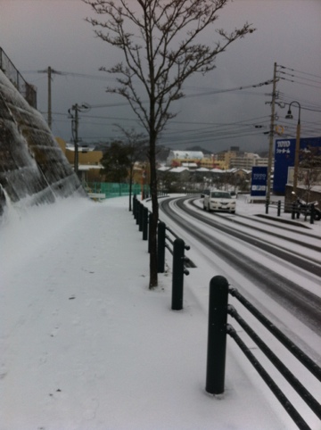 20120202-180956.jpg